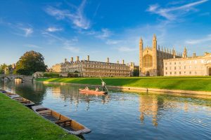 Bio&nbsp;X&nbsp;Cell Appoints Cambridge Bioscience as Exclusive UK & Ireland Distributor