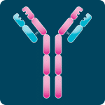 IgE-antibodies