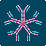 IgM-antibodies