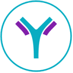 Antibody Engineering Services
